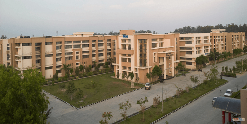 subharti university